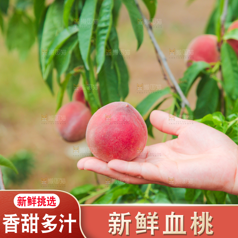 手上拿着胭脂红桃子