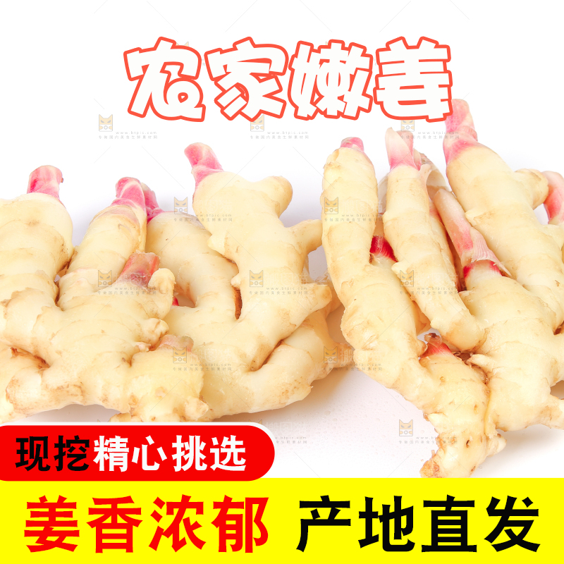 白底上放着一堆嫩姜芽