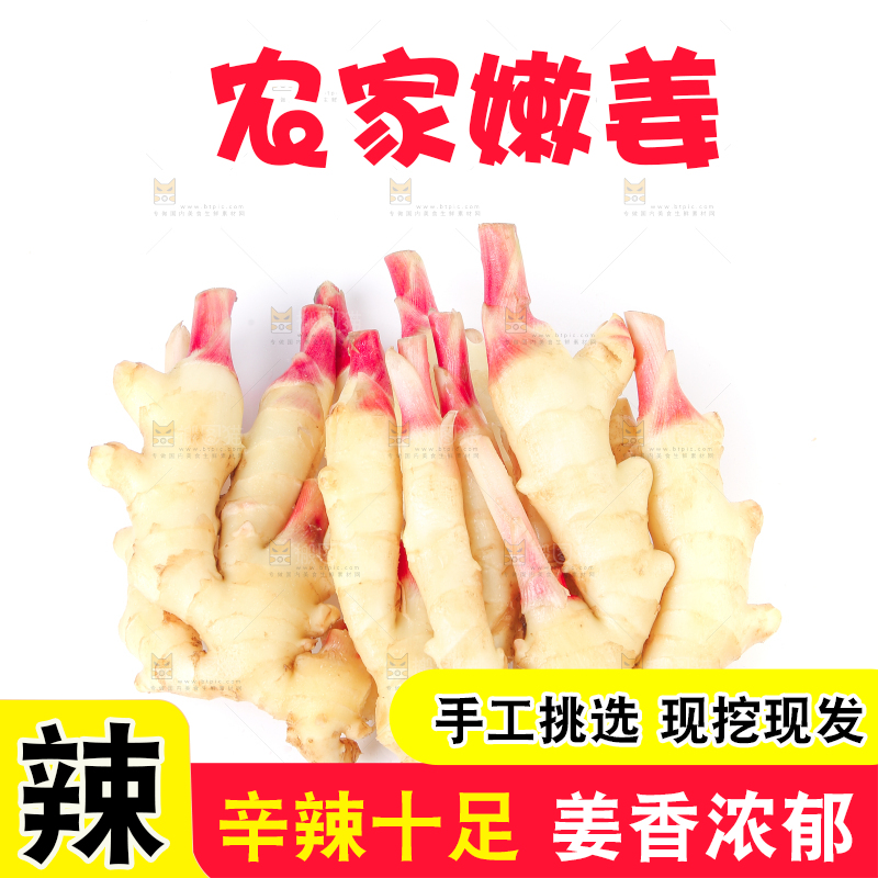 白底上放着一堆嫩姜芽