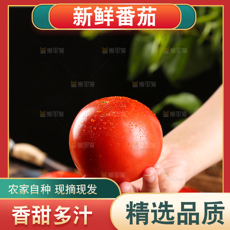 手上拿着沙瓤西红柿