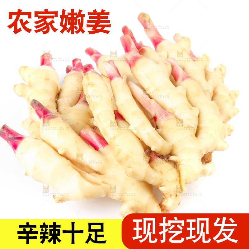 白底上放着一堆嫩姜芽