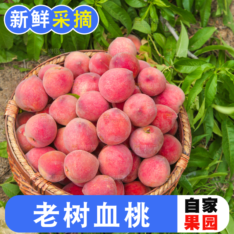 筐子里放满胭脂红