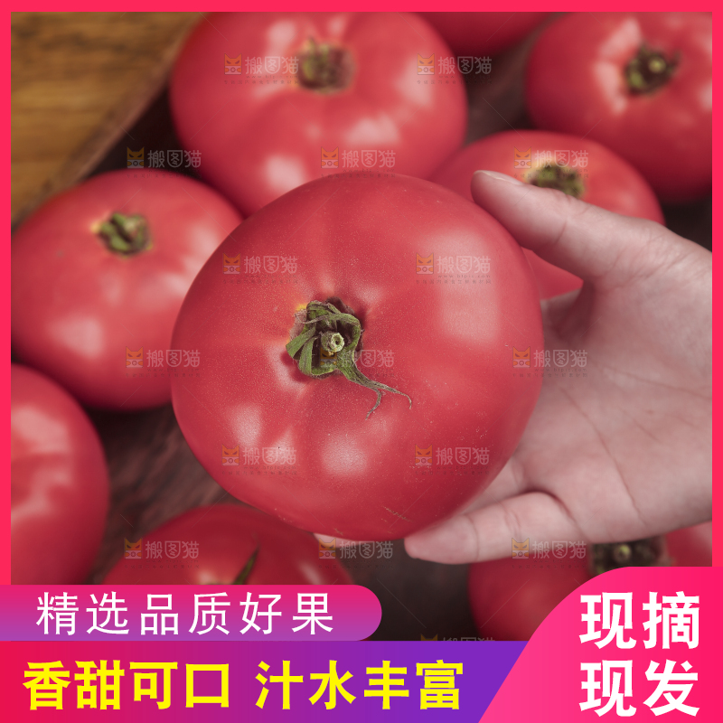 木盒里放满沙瓤番茄