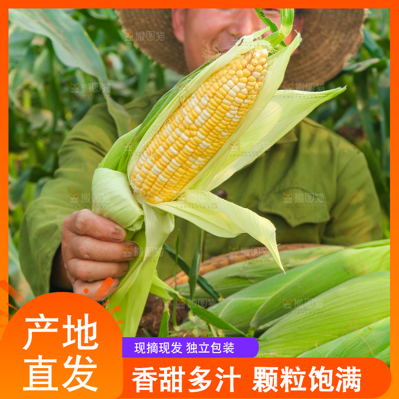 手上拿着水果玉米