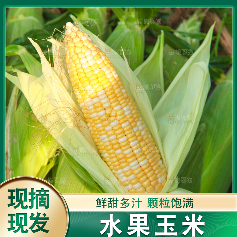 手上拿着糯玉米