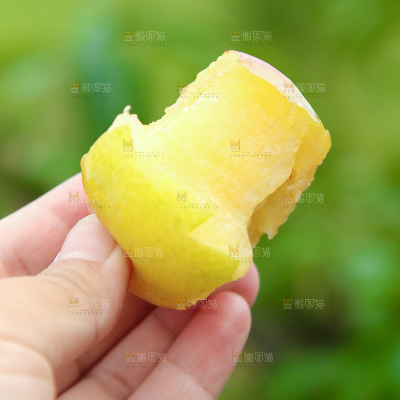 手上拿着李子