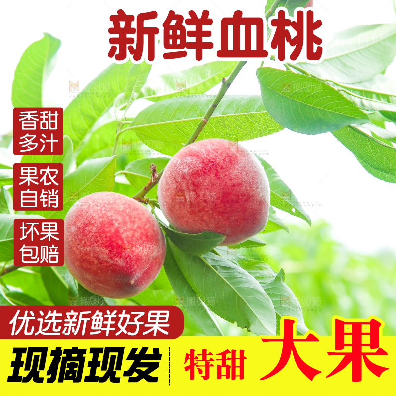 一片胭脂红桃子林