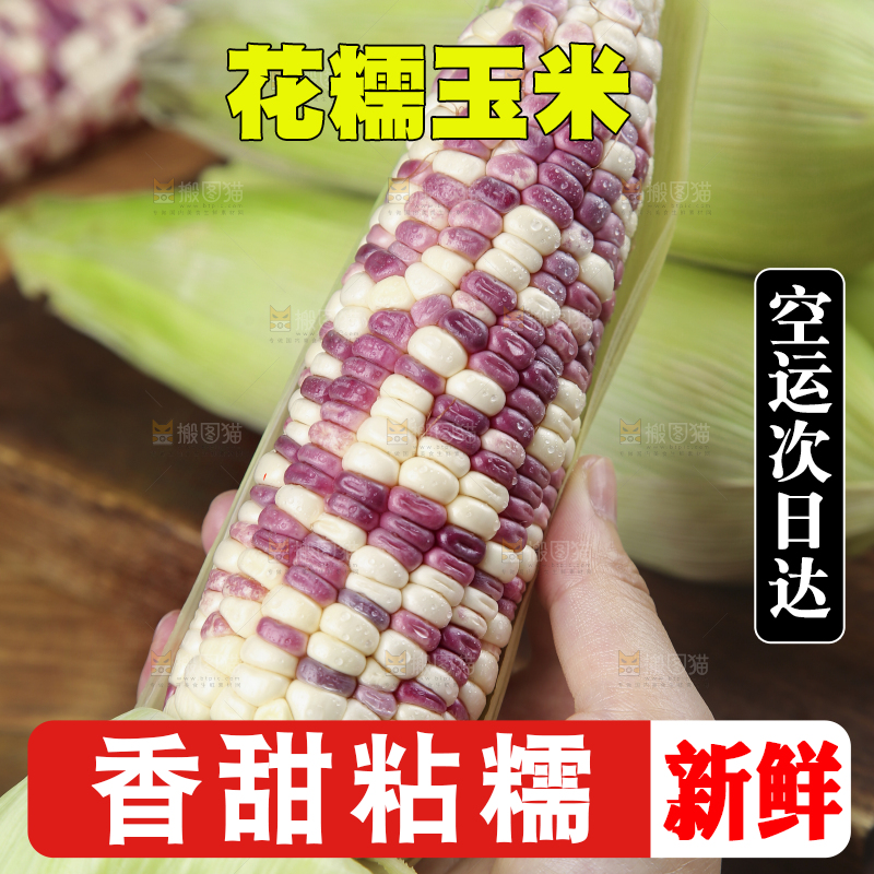 手上拿着花糯玉米