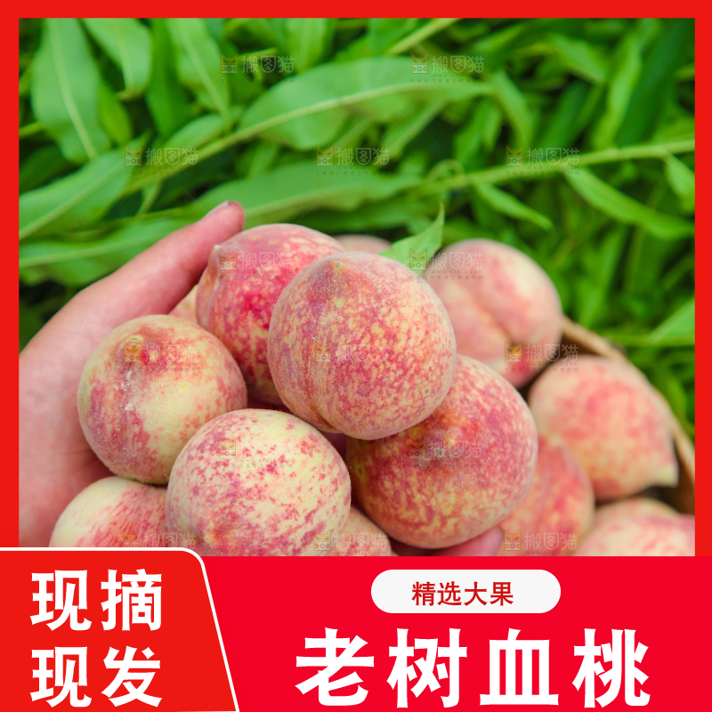 手上捧着一堆胭脂红桃