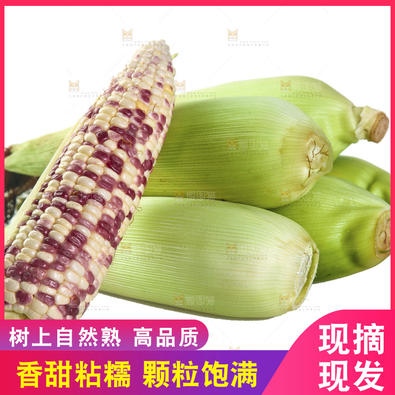 白底上放着一堆花糯玉米