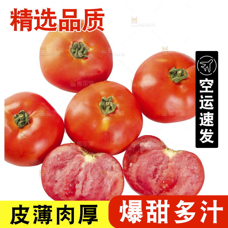 白底上放着西红柿