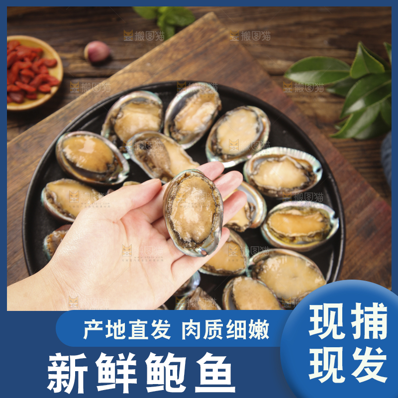 手上拿着鲍鱼