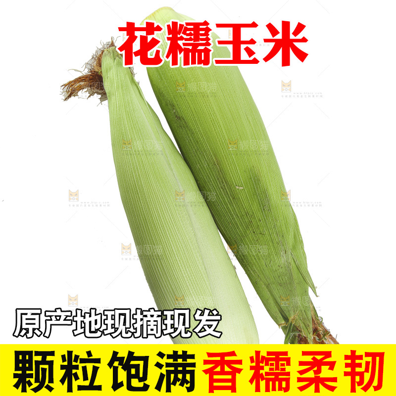 白底上放着花糯玉米