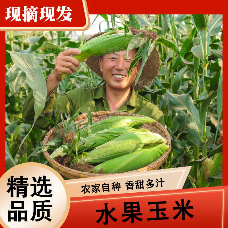 农民抱着一筐玉米