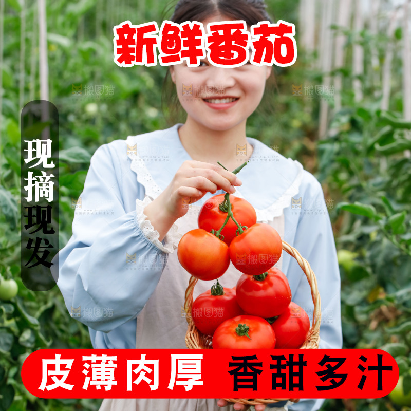 女孩手上拿着沙瓤西红柿