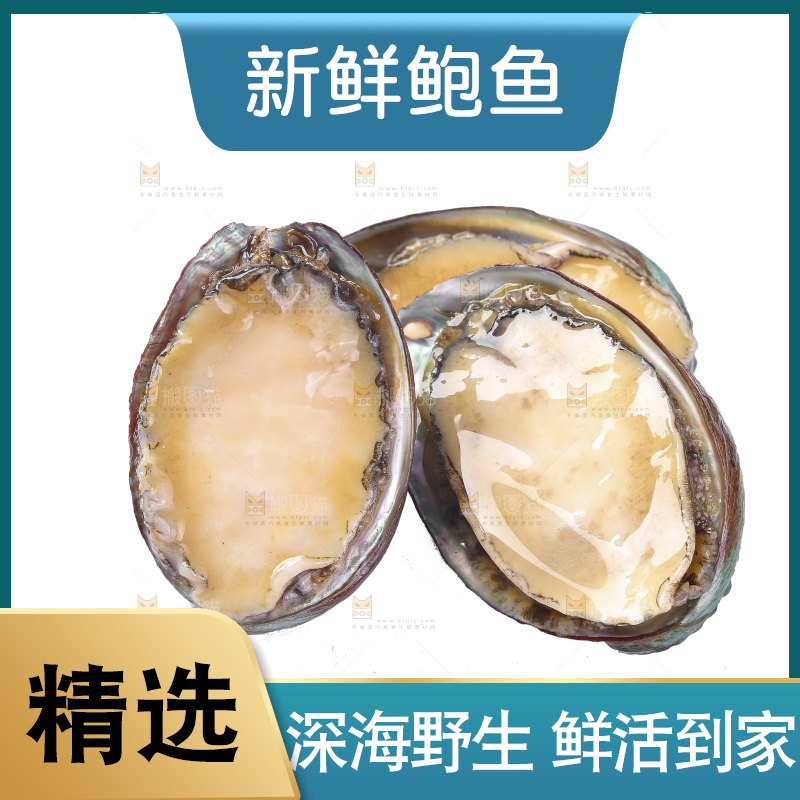 白底上放着鲍鱼