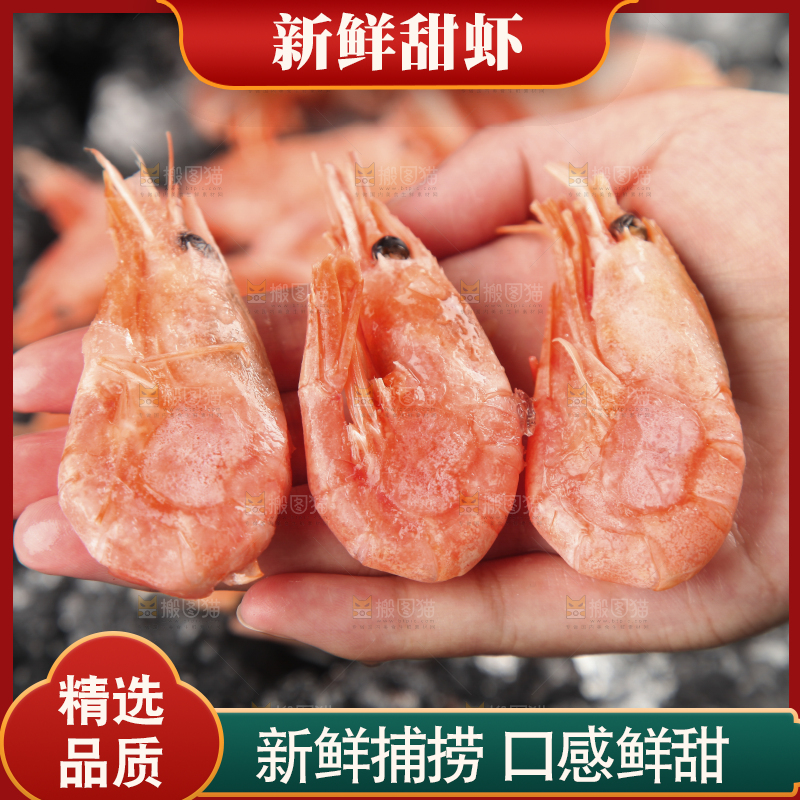 手上放着北极甜虾