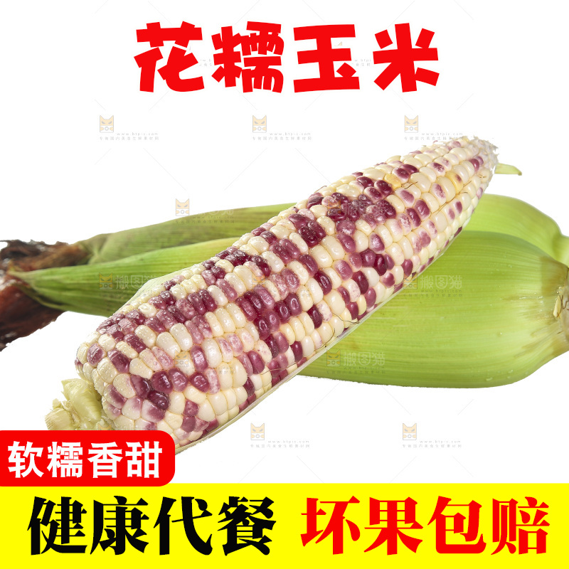 白底上放着花糯玉米