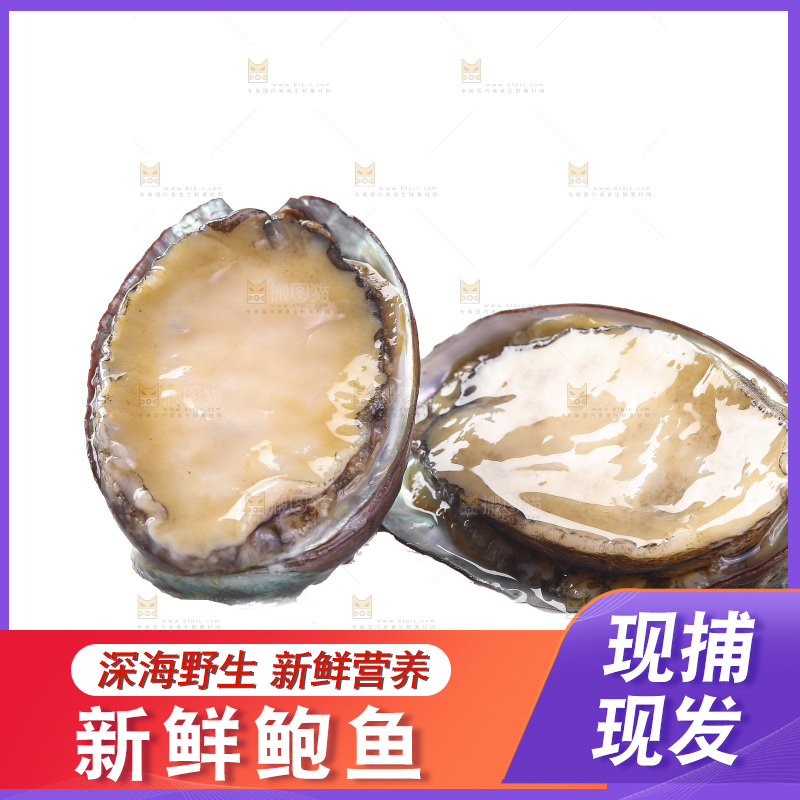 白底上放着鲍鱼