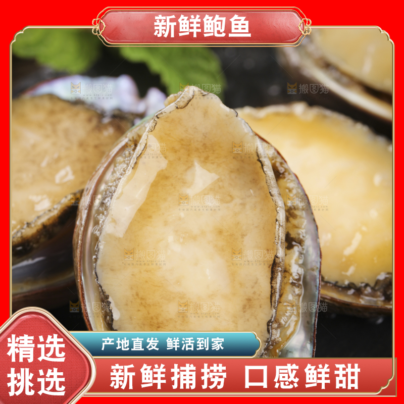 黑底上放着鲍鱼