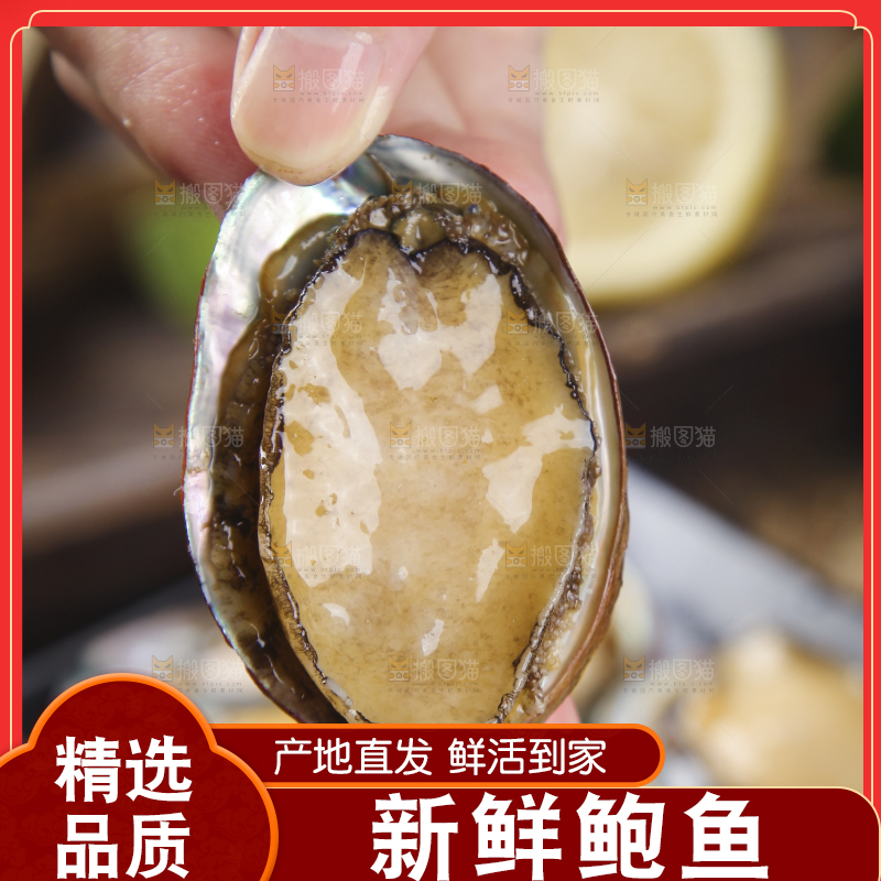 手上拿着鲍鱼