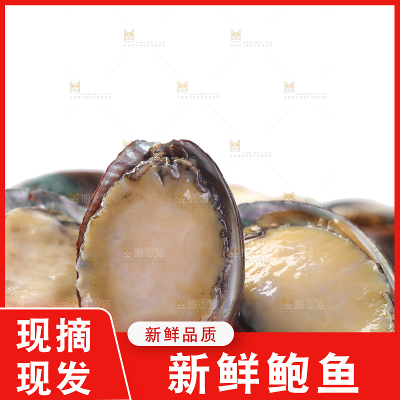 白底上放着一堆鲍鱼