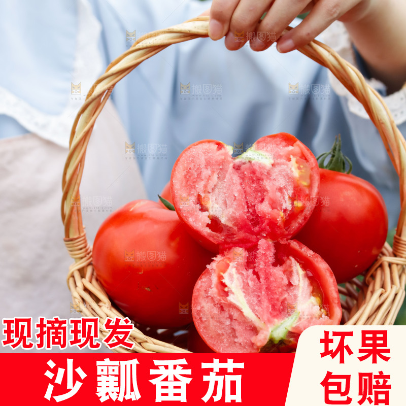 女孩手上拿着沙瓤西红柿