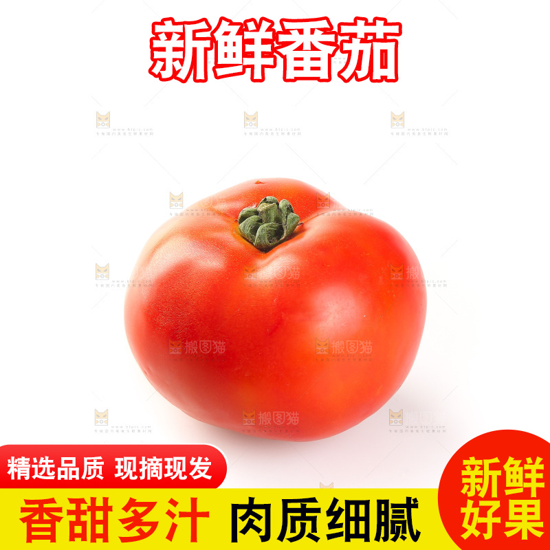 白底上放着西红柿