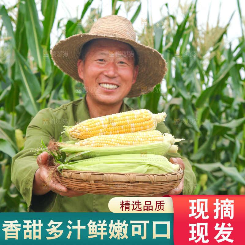 农民手上抱着一篮水果玉米