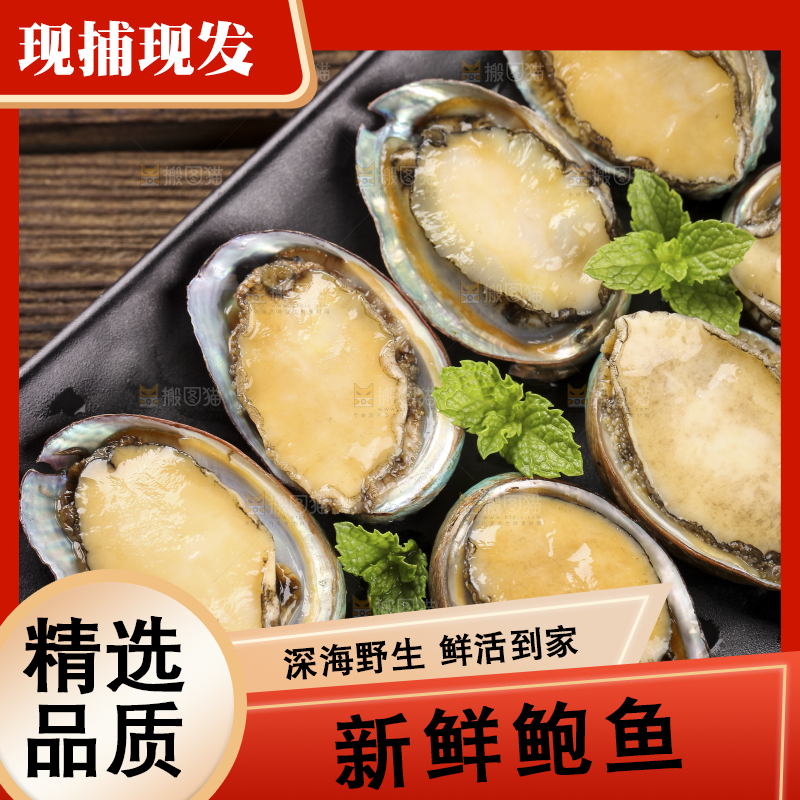 黑底上放着鲍鱼