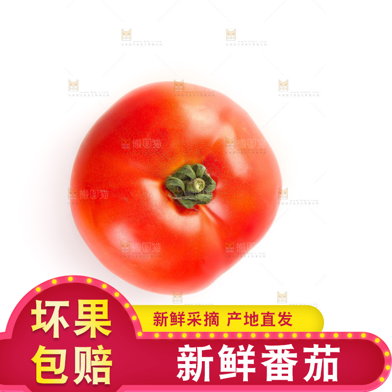 白底上放着西红柿