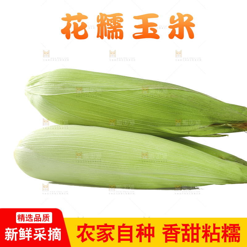 白底上放着一堆花糯玉米