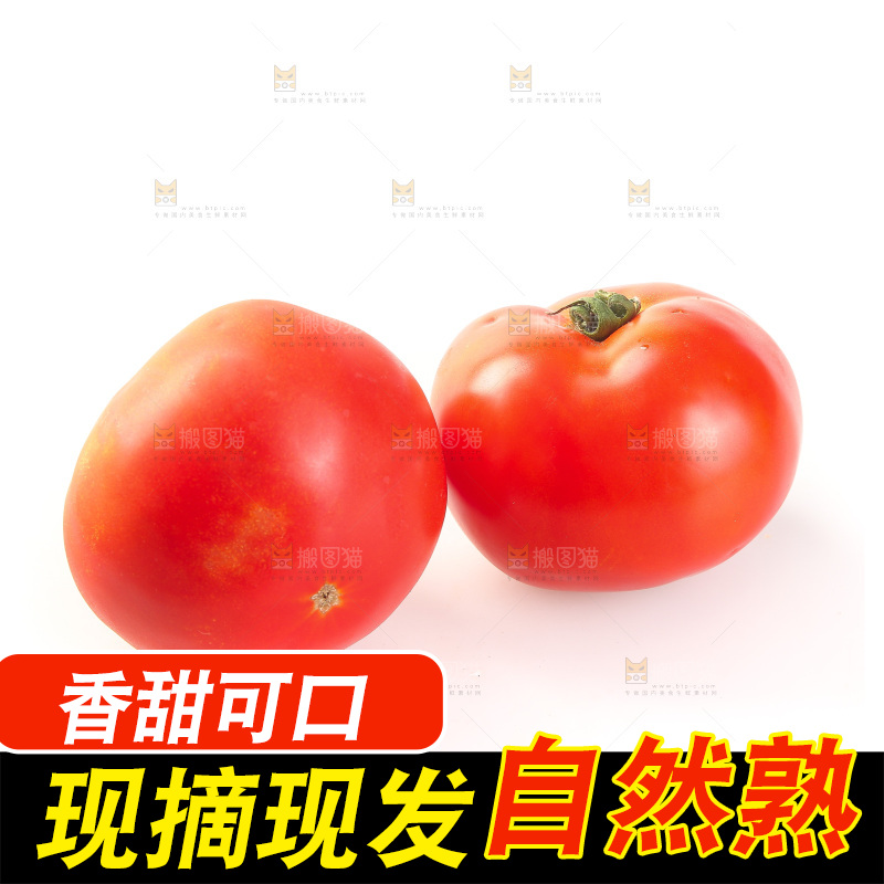 白底上放着西红柿