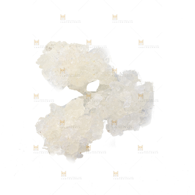 白底上放着雪燕