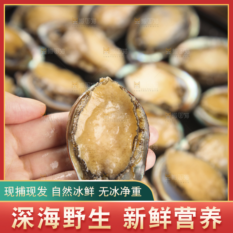 手上拿着鲍鱼