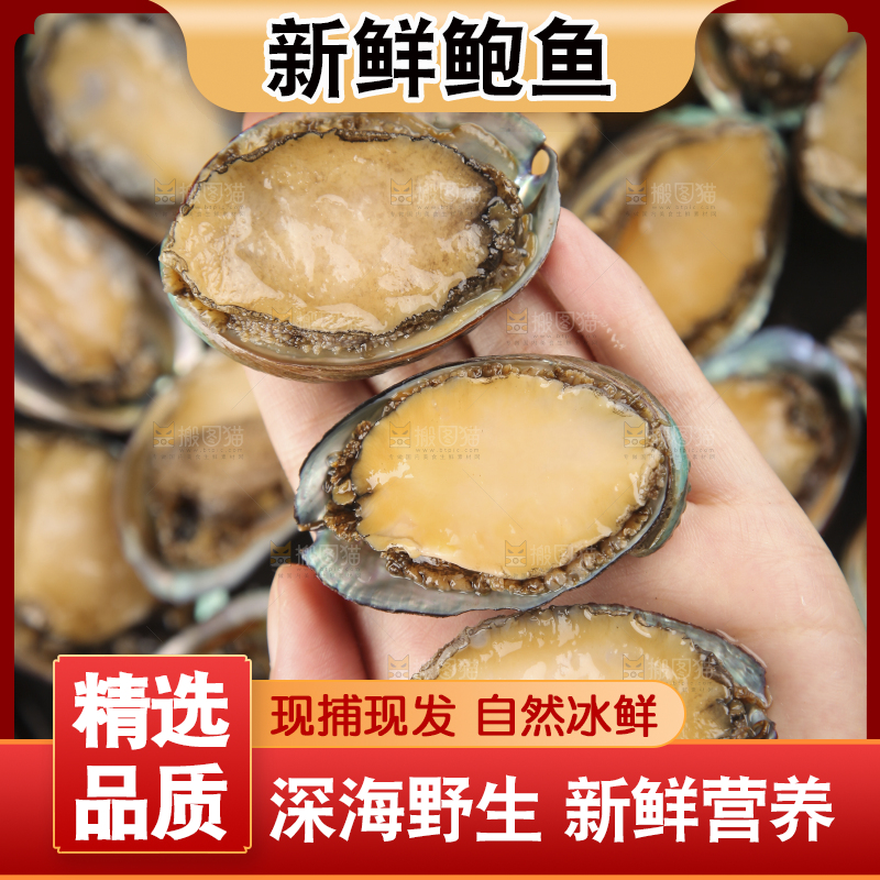 手上拿着鲍鱼