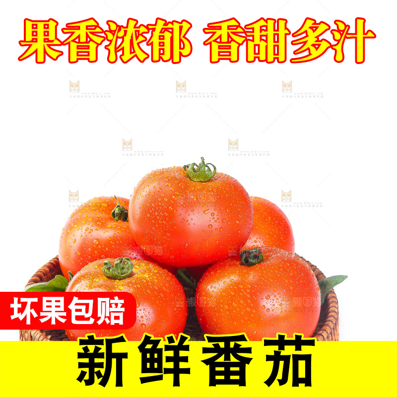白底上放着一篮西红柿