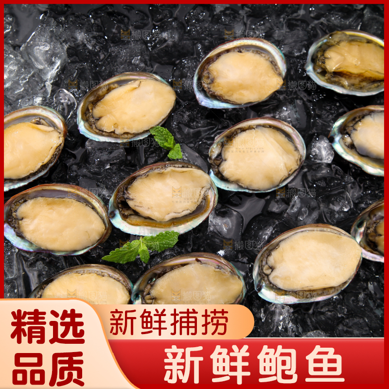黑底上放着鲍鱼
