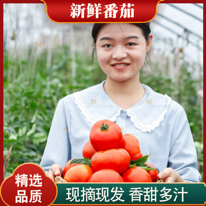 女孩手上端着一篮沙瓤西红柿