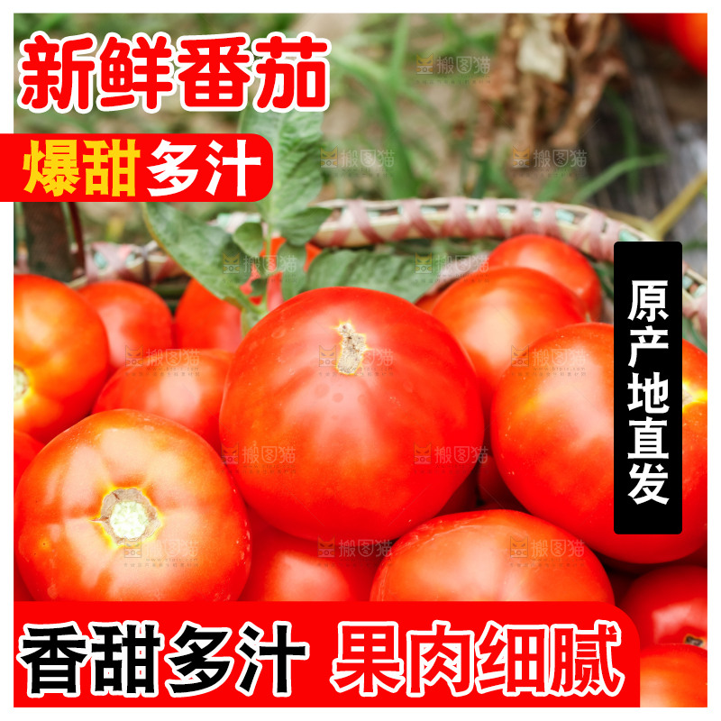 筐子里放着西红柿