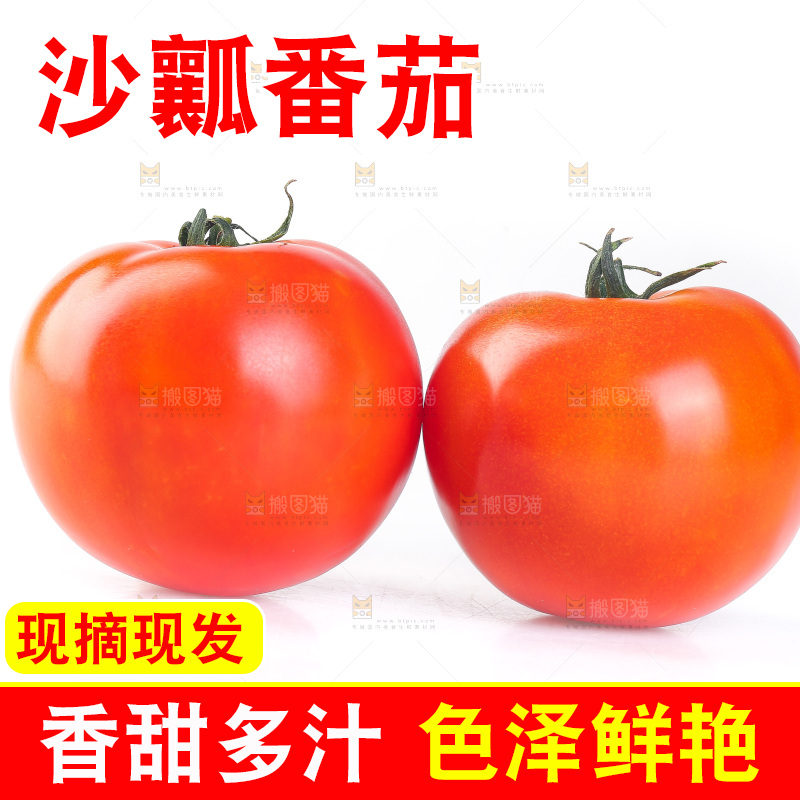 白底上放着番茄