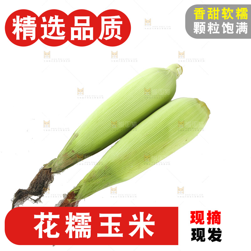 白底上放着花糯玉米