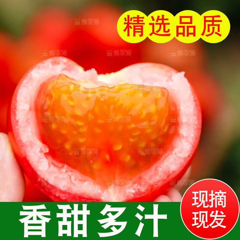 手上拿着沙瓤西红柿
