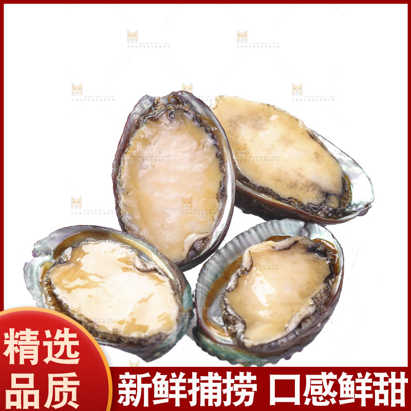 白底上放着一堆鲍鱼