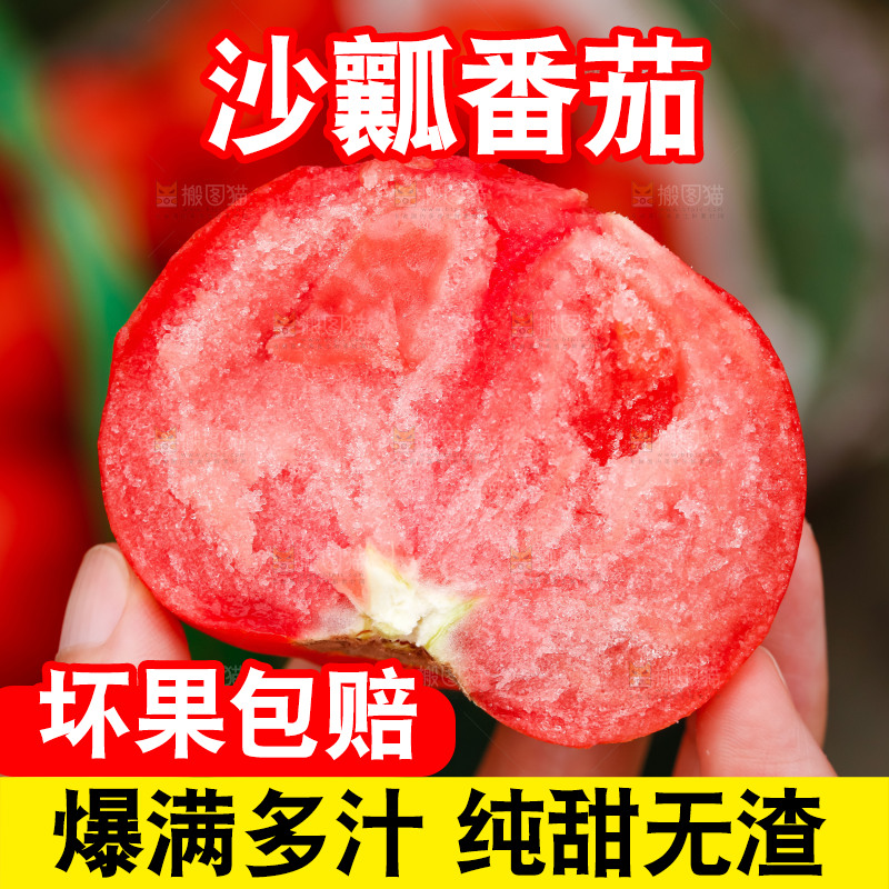 手拿着普罗旺斯西红柿