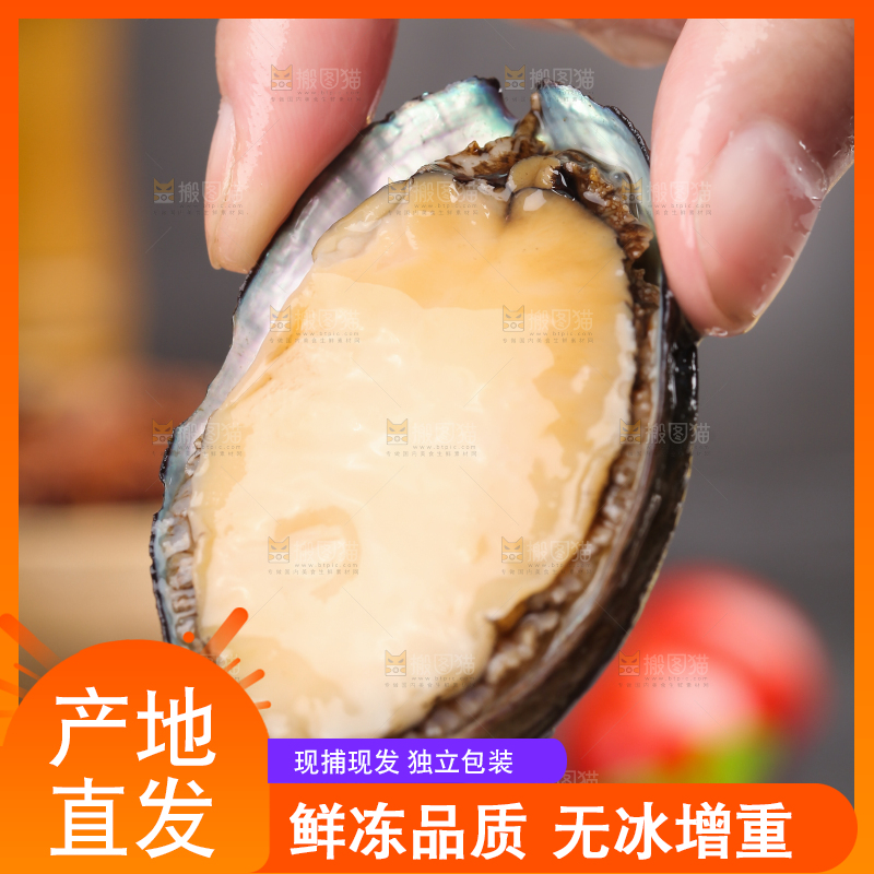 手上拿着鲍鱼