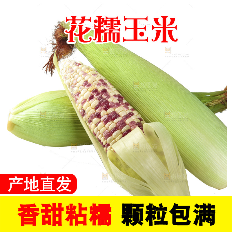 白底上放着花糯玉米