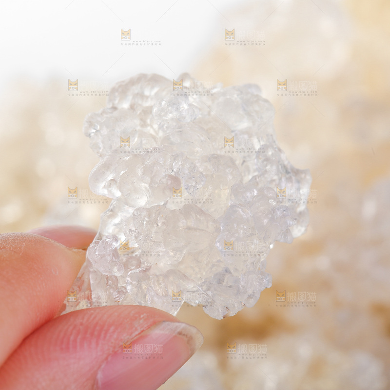 手上拿着雪燕