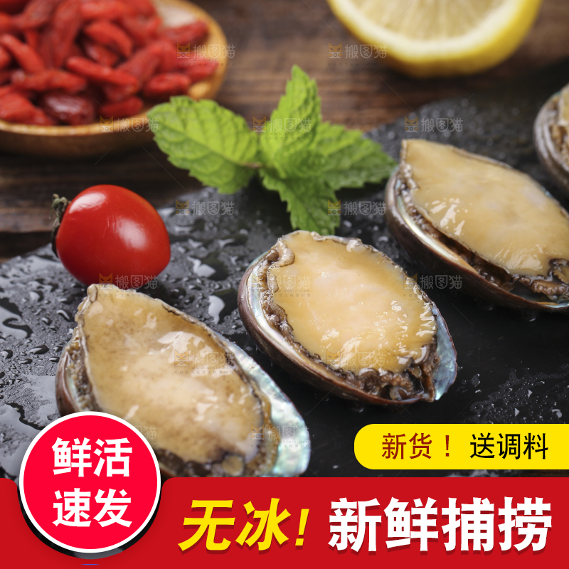 黑底上放着鲍鱼