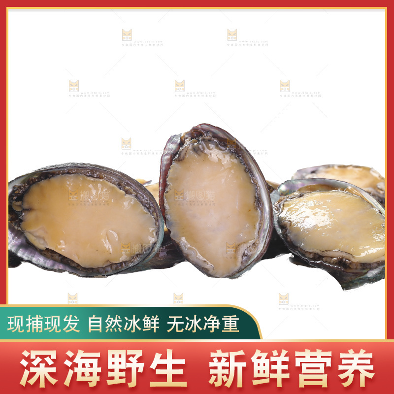 白底上放着一堆鲍鱼